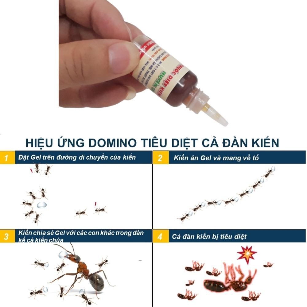 COMBO 5 LỌ THUỐC DIỆT KIẾN GIÁN SINH HỌC