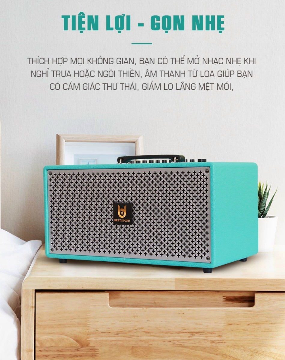 LOA KARAOKE  XÁCH TAY BEST SOUND M6 -2 MÍC KO DÂY