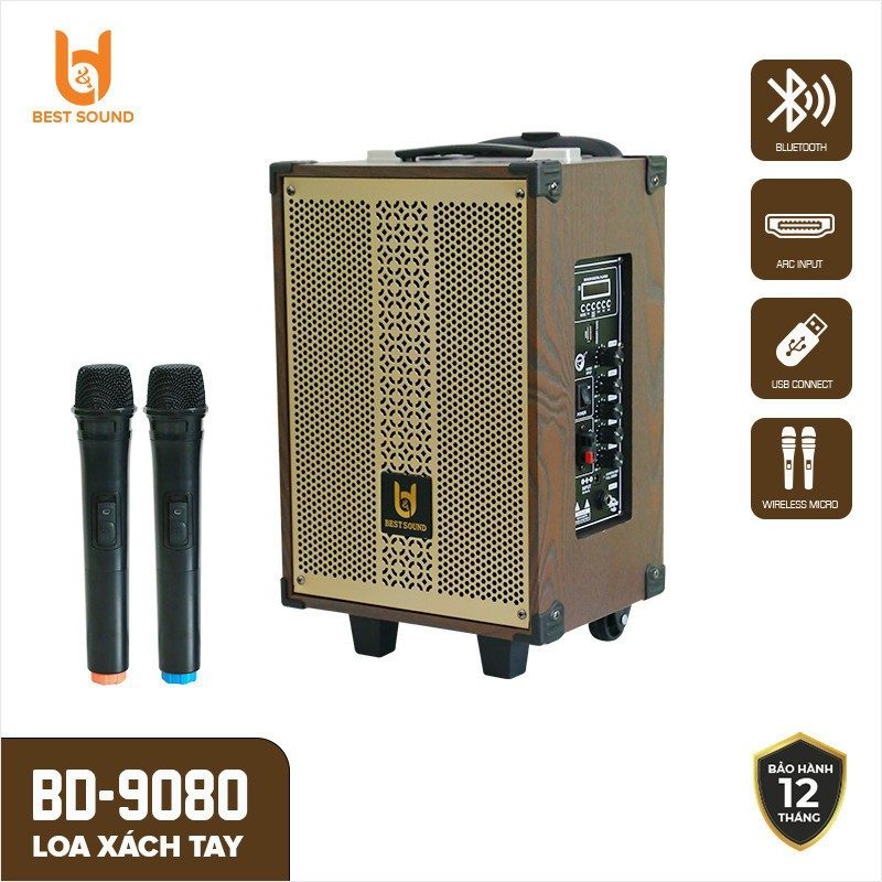 LOA KARAOKE 2 TẤC  GD-909A -2 MIC ( BLUETOOTH)