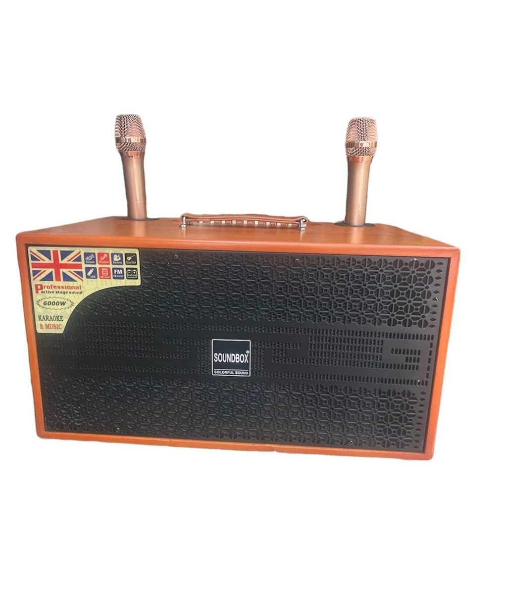 LOA KARAOKE KEM 2 MÍC T288 BASS CỰC MẠNH