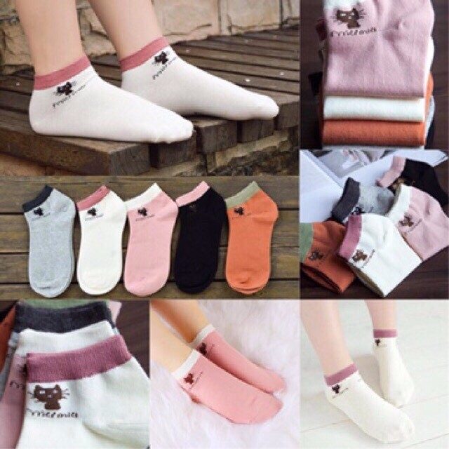 COMBO 10 ĐÔI VỚ CỔ NGẮN TÚI GẤU 2 COMBO 10 ĐÔI VỚ CỔ NGẮN TÚI GẤU - Ảnh 2