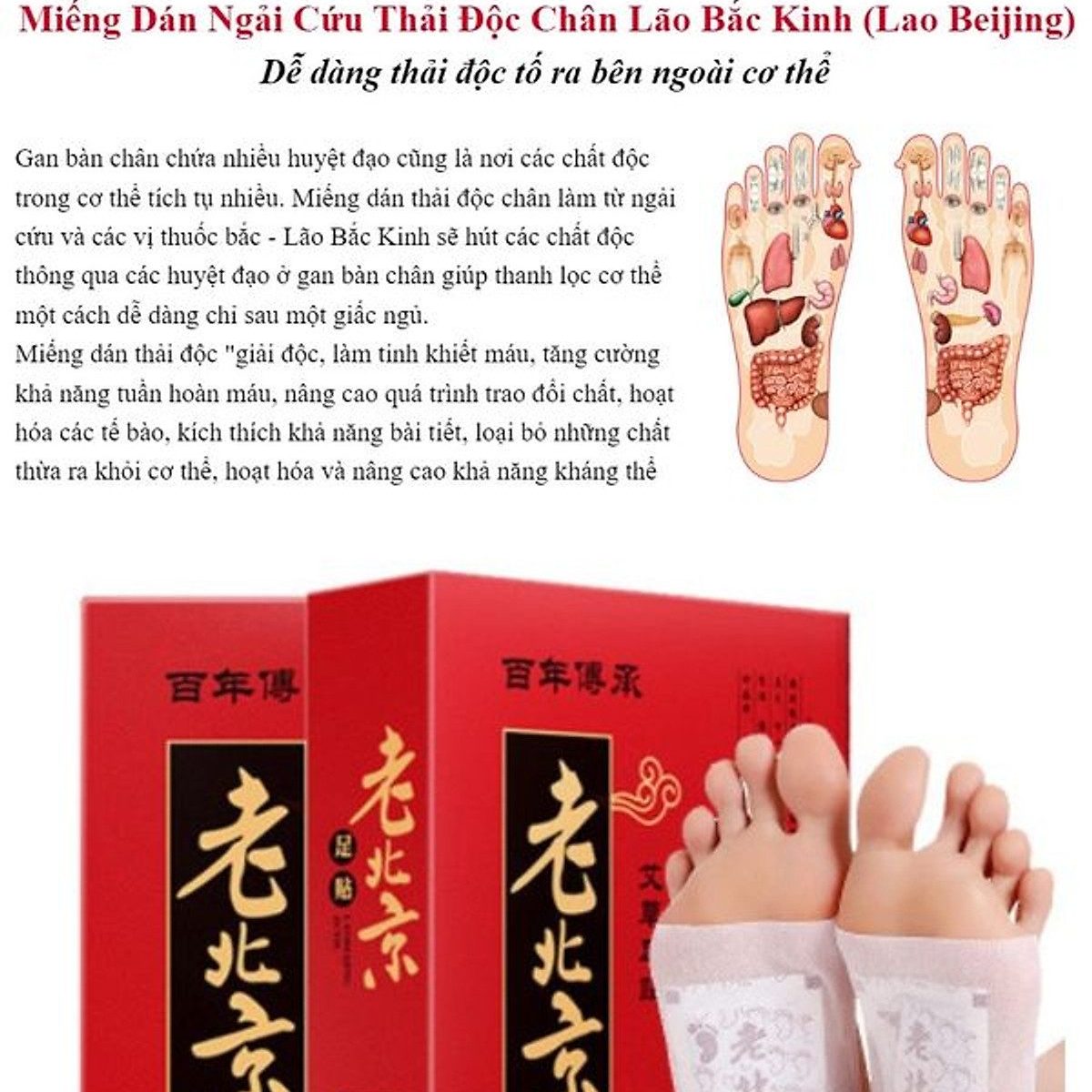 SET 50 MIẾNG DÁN THẢI ĐỘC BÀN CHÂN