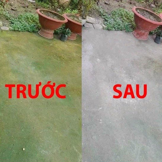 BỘT TẨY RONG RÊU 450G