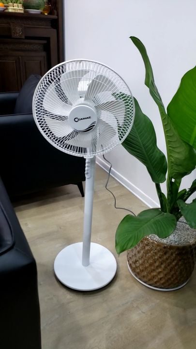 QUẠT ĐỨNG CAMAC 7 CÁNH CM-30 2 QUẠT ĐỨNG CAMAC 7 CÁNH CM-30 - Ảnh 2