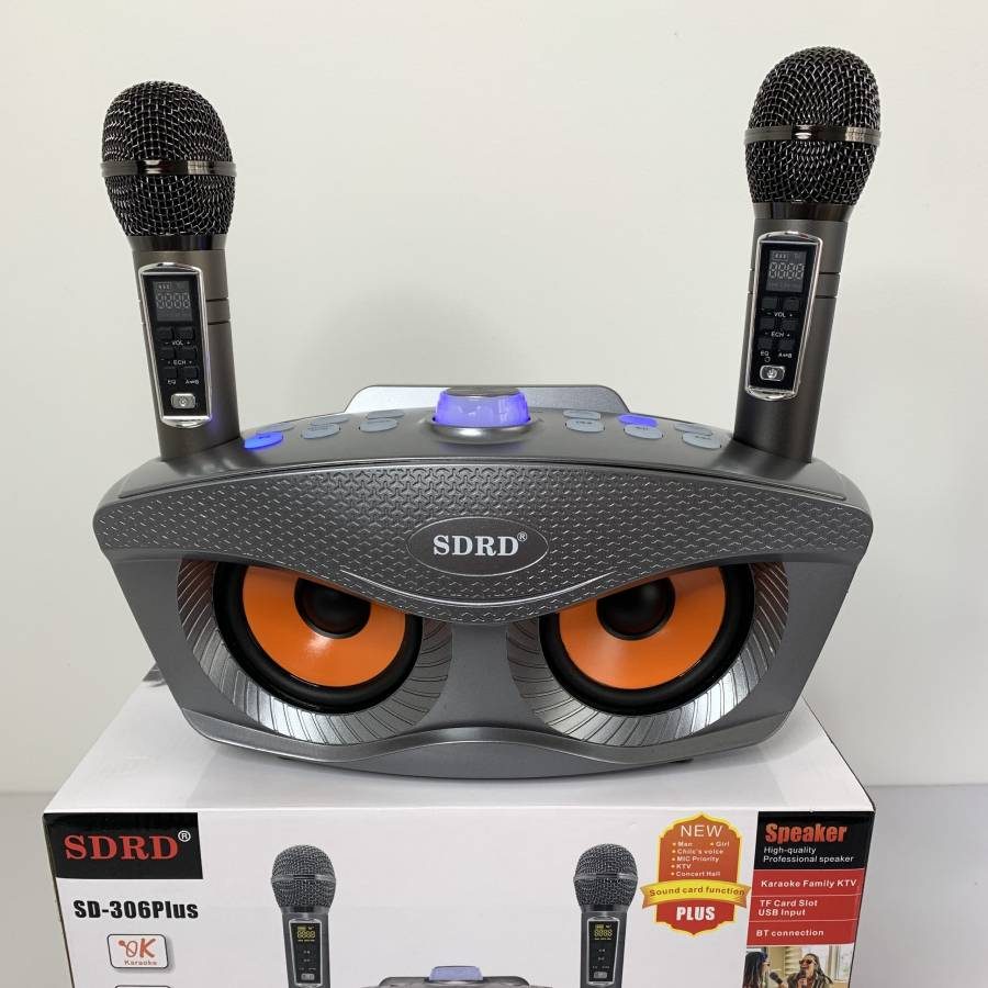 LOA BLUETOOTH KÈM 2 MICRO SDRD 306 PLUS