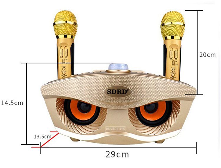 LOA SDRD KARAOKE MINI KÈM 2 MIC SD-306
