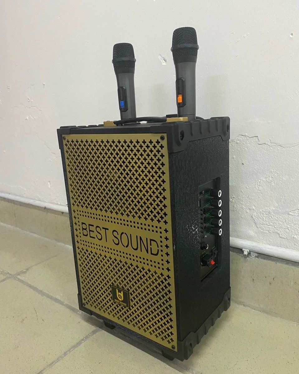 LOA KARAOKE BEST SOUND BD-8001