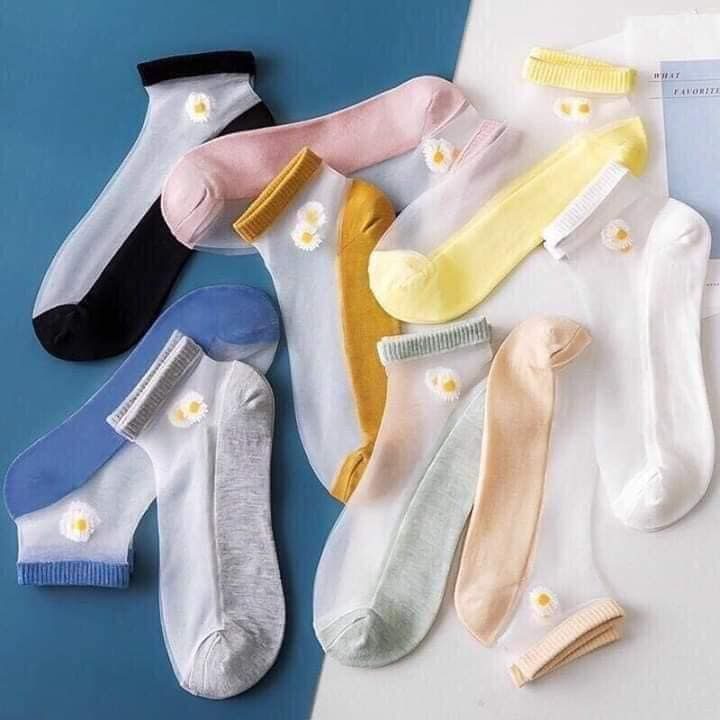 SET 10 ĐÔI VỚ REN HOA CÚC