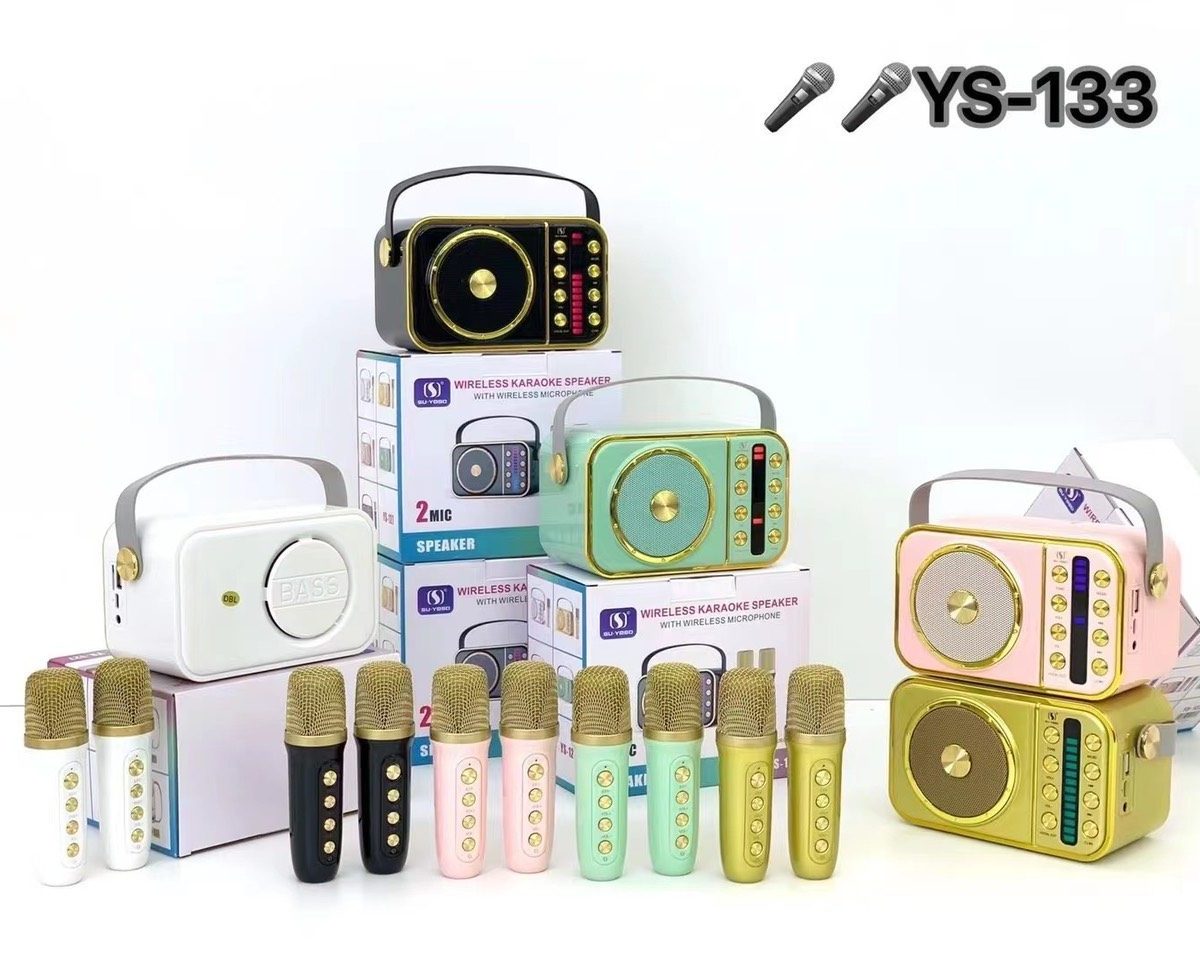 LOA KARAOKE 2 MIC YS-133