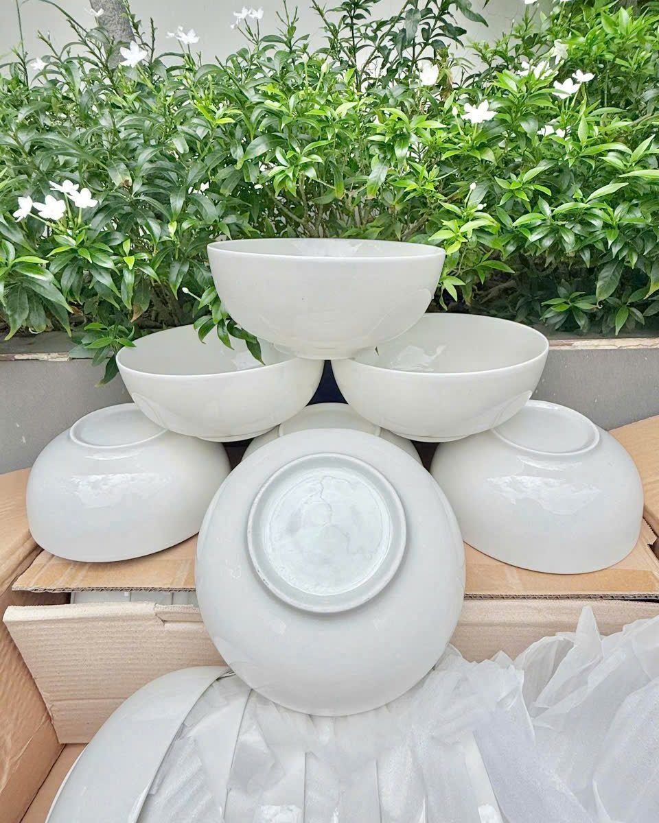 TÔ SỨ TRẮNG TRƠN 7INCH LỚN