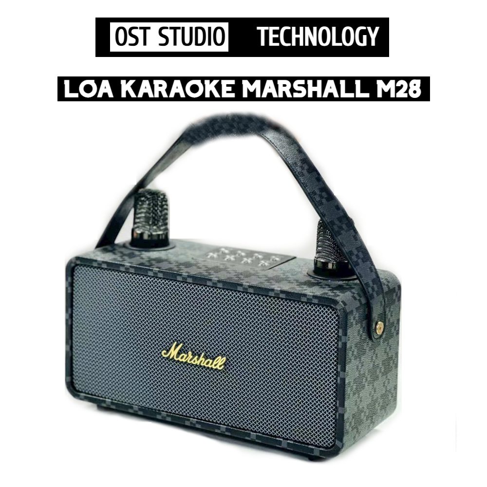 LOA KARAOKE  MARSHALL M28 KÈM 2 MIC