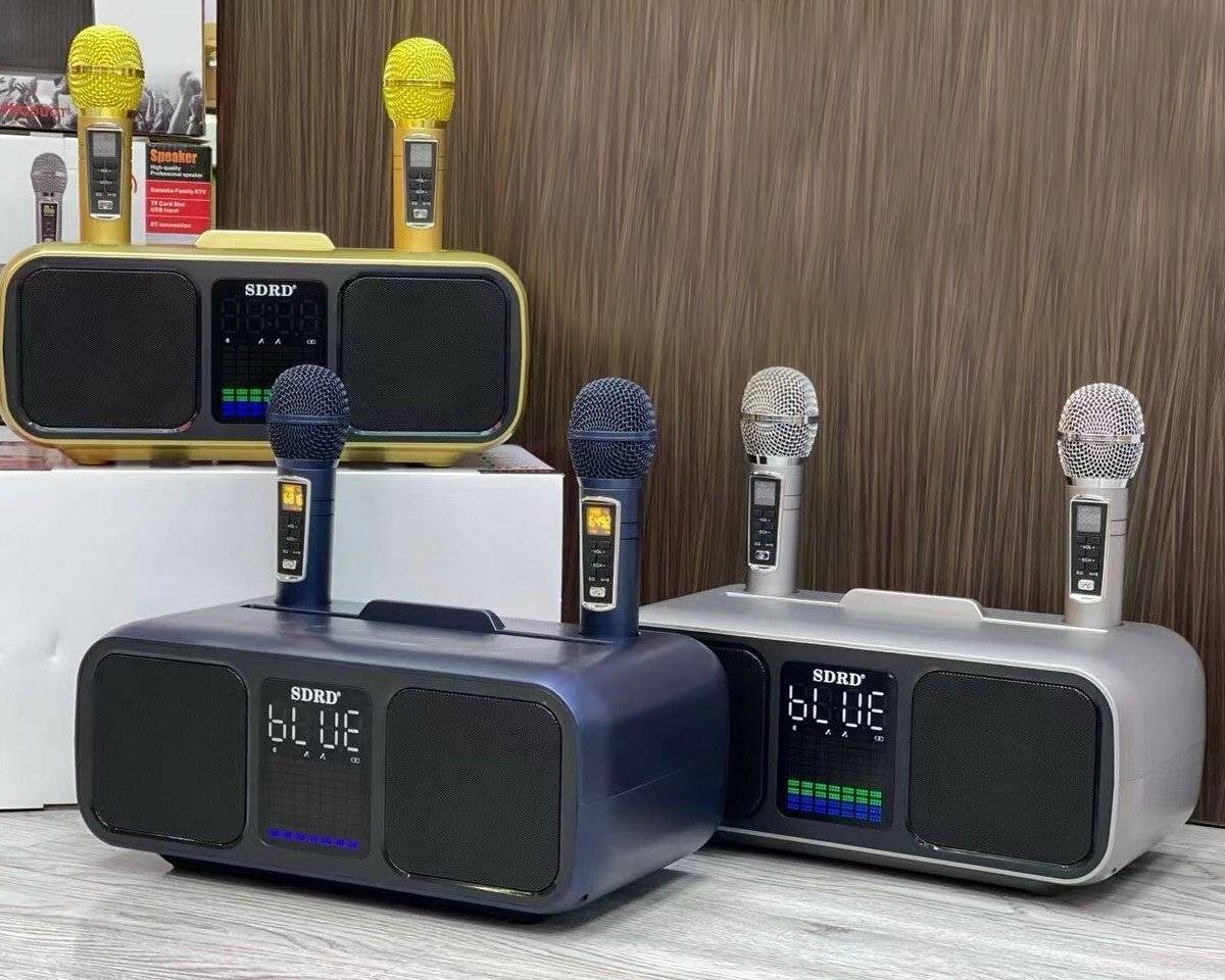 LOA KARAOKE SDRD SD318 2 MÍC