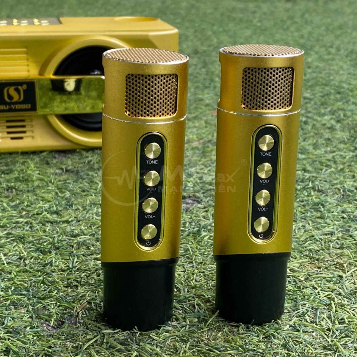 LOA KARAOKE 2 MIC YS205