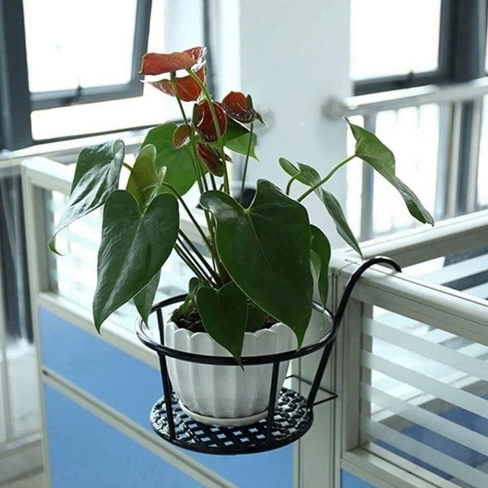 GIỎ SẮT TREO HOA BAN CÔNG TIỆN LỢI