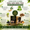 DẦU GỘI ĐEN TÓC CAOTEN (10 GÓI) 7 6 76