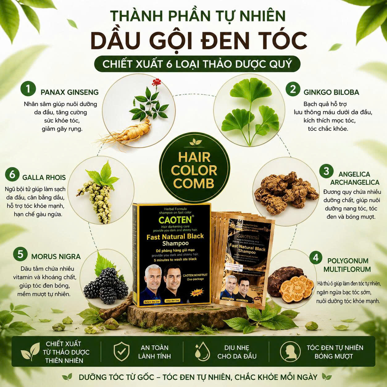 DẦU GỘI ĐEN TÓC CAOTEN (10 GÓI) 4 DẦU GỘI ĐEN TÓC CAOTEN (10 GÓI) - Ảnh 4