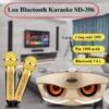 LOA SDRD KARAOKE MINI KÈM 2 MIC SD-306 7 SDRD306 1