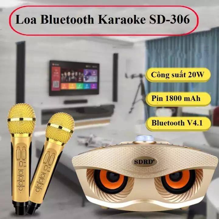 LOA SDRD KARAOKE MINI KÈM 2 MIC SD-306 8 SDRD306 1