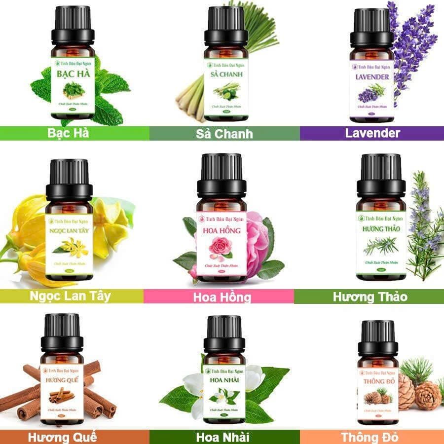 TINH DẦU THƠM THIÊN NHIÊN 10ML