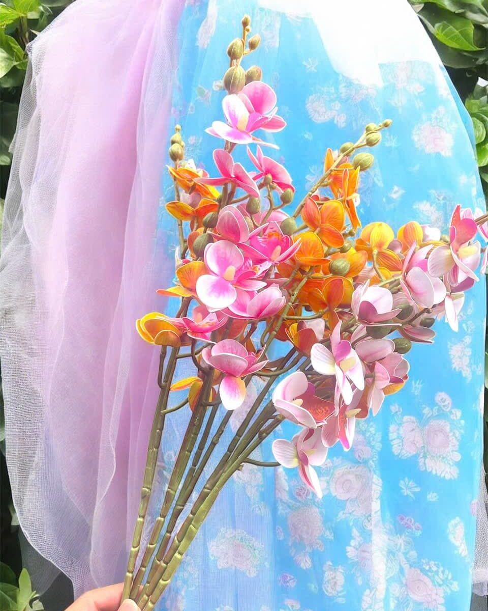 CÀNH TIỂU HỒ ĐIỆP