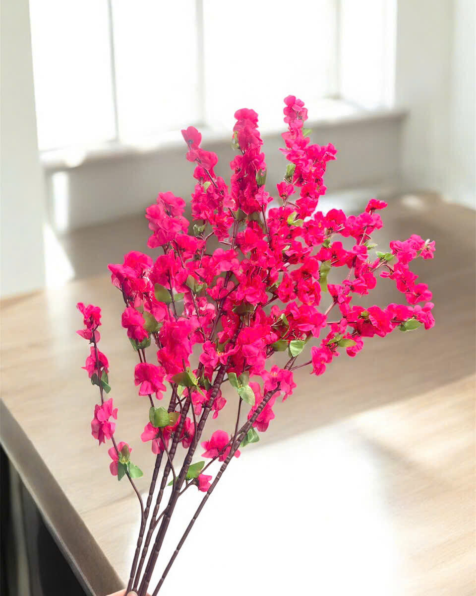 CÀNH HOA ANH ĐÀO HOA VẢI