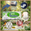 LỐC 10 CUỘN GIẤY VỆ SINH KO LÕI CHARMING 5 z7981553778455 5eeabf7f50b9bcd8304676bf28639f5f 23