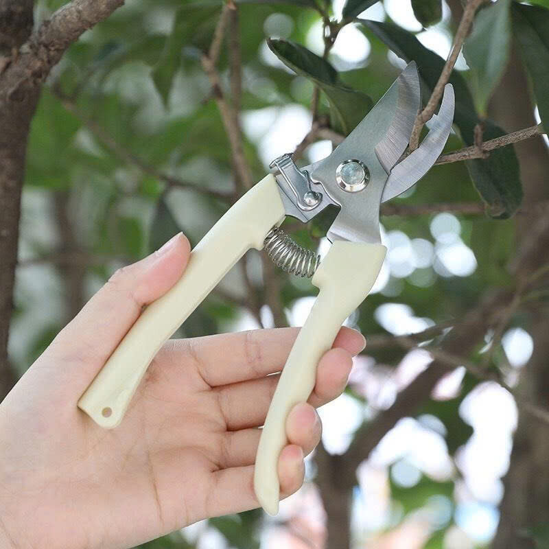 KÉO CẮT TỈA CÀNH SIÊU BÉN 5 KÉO CẮT TỈA CÀNH SIÊU BÉN - Ảnh 5